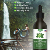 Chlorophyll Liquid Drops - 100% Natural Energy Booster and Immune Support - Internal Deodorant and Detox - Altitude Sickness Relief - Fast Absorption, Vegan & Non-GMO - 120 Servings(100mg)