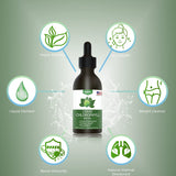 Chlorophyll Liquid Drops - 100% Natural Energy Booster and Immune Support - Internal Deodorant and Detox - Altitude Sickness Relief - Fast Absorption, Vegan & Non-GMO - 120 Servings(100mg)